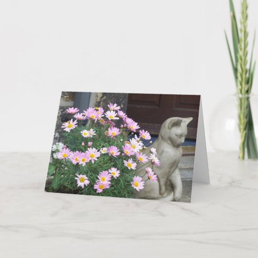 メッセージカード: ピンクのデイジー カード (正面)