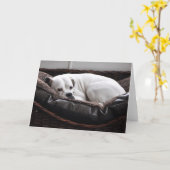 メッセージカード: ボクサー犬 カード (黄色い花)
