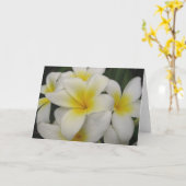 メッセージカード-白いplumerias カード (黄色い花)