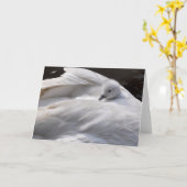 メッセージカード: 白鳥の背部のかわいいCygnet カード (黄色い花)