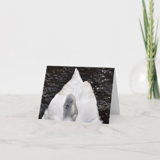 メッセージカード: 白鳥の背部のCygnet カード