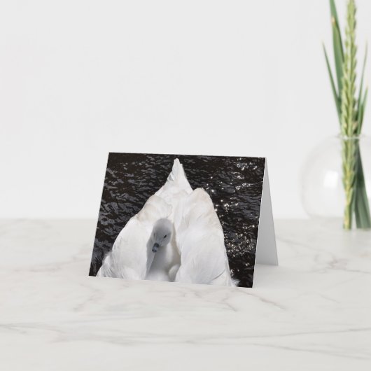 メッセージカード: 白鳥の背部のCygnet カード (正面)