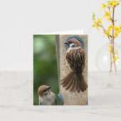 メッセージカード: 送り装置のスズメ カード (黄色い花)