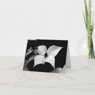 メッセージカード- B/Wのミズキ サンキューカード