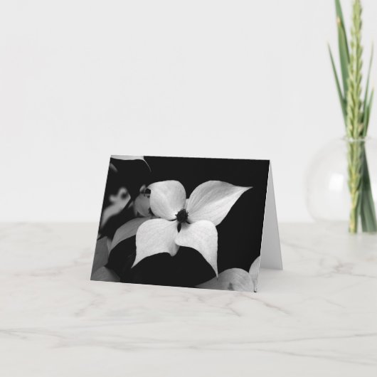 メッセージカード- B/Wのミズキ サンキューカード (正面)