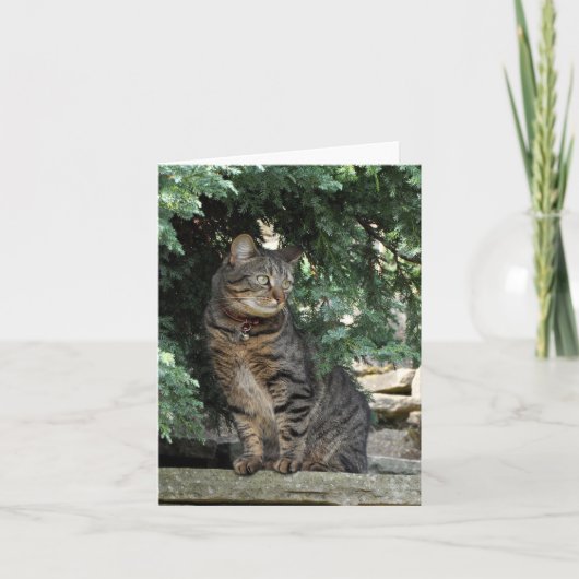 メッセージカード: Minnie カード (正面)