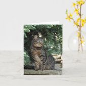 メッセージカード: Minnie カード (黄色い花)