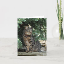 メッセージカード: Minnie