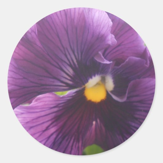 メッテルド ラウンドシール (正面)