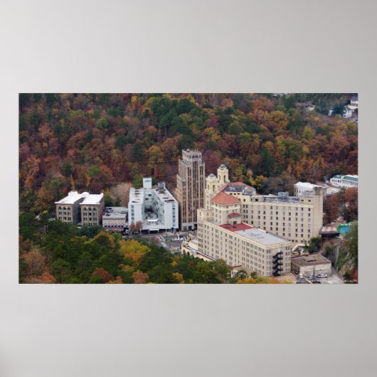 メディカルアーツ建物アーリントンホテルARポスター ポスター (正面)