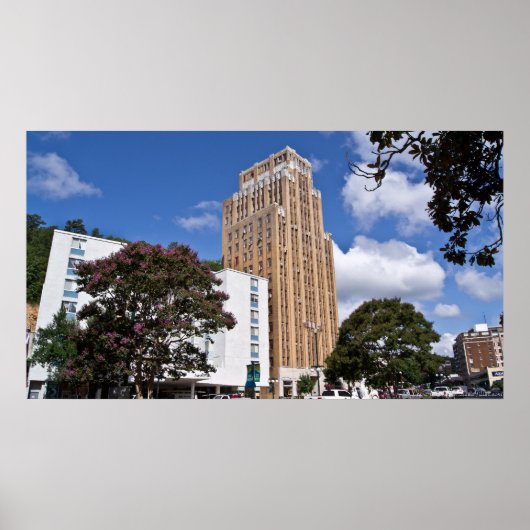 メディカルアーツ建物ホット春アーカンサスのポスター ポスター (正面)