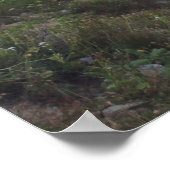 メディシンボークピーク風光明媚 ポスター (角)