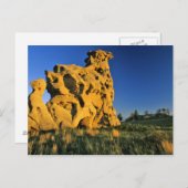 メディシンロック州パーク近くのエカラカモンタナ ポストカード (正面/裏面)