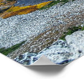 メディシン・バウ国有林 ポスター (角)