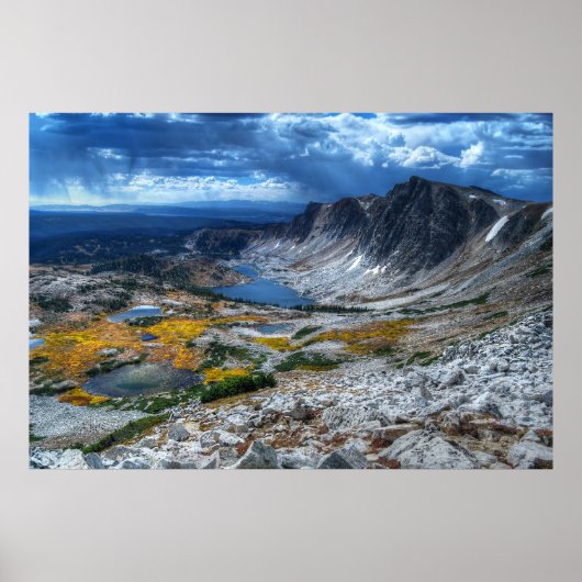 メディシン・バウ国有林 ポスター (正面)