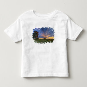 メディスン・ロックスの日の入り時の空の壮大な景色 トドラーTシャツ
