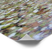 メディチフンテン ポスター (角)