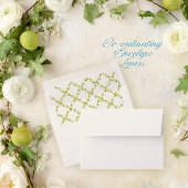 メディテレーニ 招待状