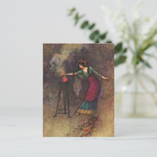 メデス ポストカード (スタンド正面)