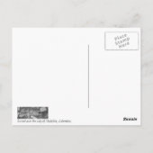 メデリン絵葉書に夕日が入る ポストカード (裏面)