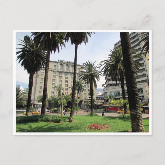 メデリン・ヌティバラ ポストカード (正面)