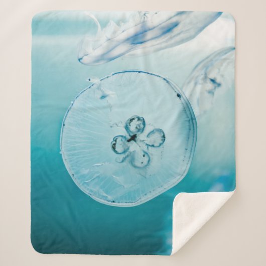 メトロイドはお前だ シェルパブランケット (正面)