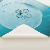 メトロイドはお前だ シェルパブランケット (3/4)