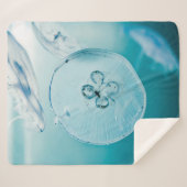 メトロイドはお前だ シェルパブランケット (正面(横))