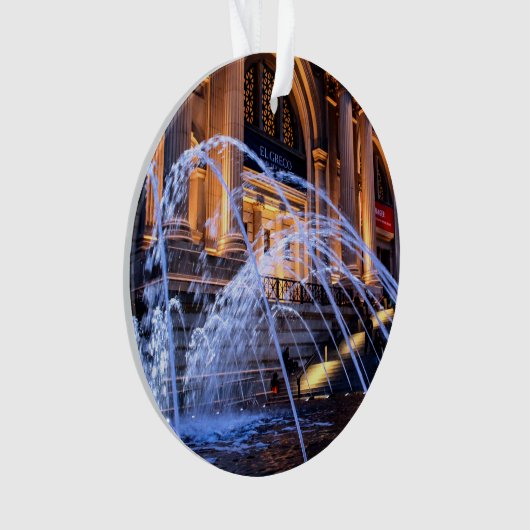 メトロポリタン美術館(会う)の写真 オーナメント (正面)