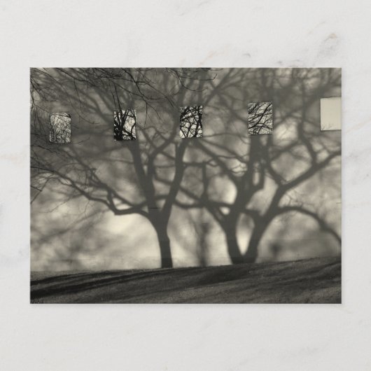 メトロポリタン・シャドウ・ポストカード ポストカード (正面)