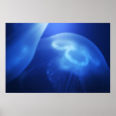 メドゥサ1 ポスター (正面)