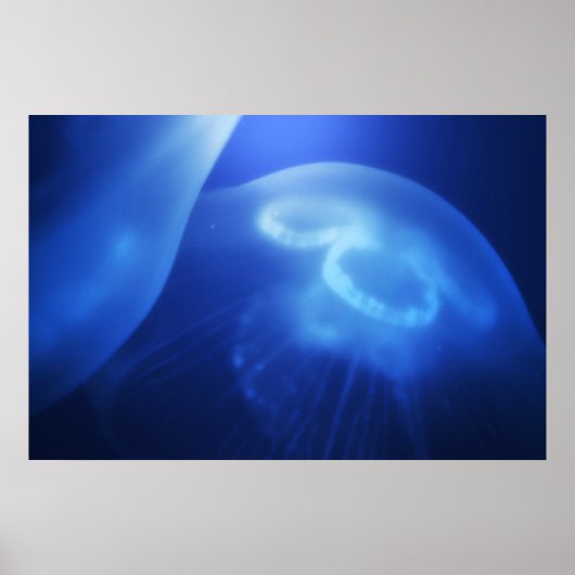 メドゥサ1 ポスター (正面)