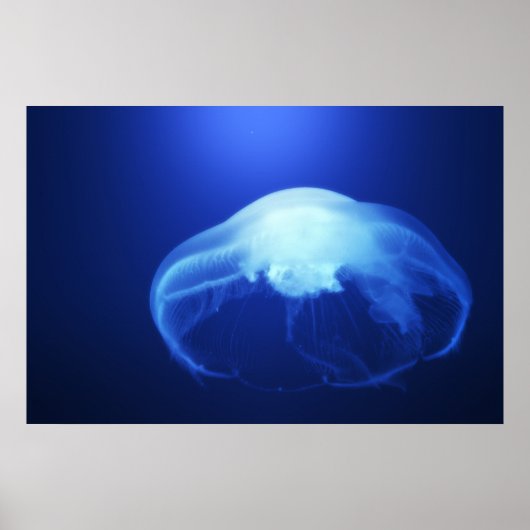 メドゥサ2 ポスター (正面)