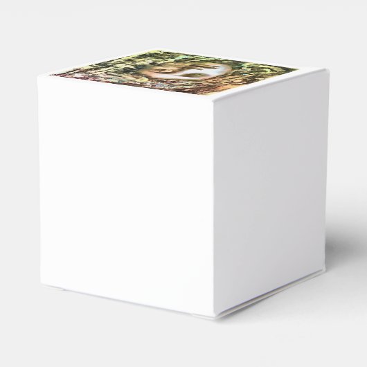 メドゥーサポートレートオブアゴルゴン フェイバーボックス (裏面サイド)