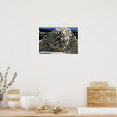 メドゥーサ岬 ポスター (キッチン)