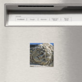 メドゥーサ岬 マグネット (インサイチュ (食洗機))