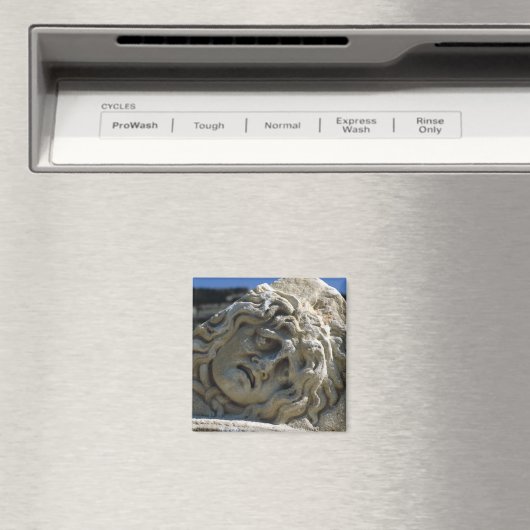 メドゥーサ岬 マグネット (インサイチュ (食洗機))