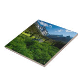 メドウとMt.スチュアート タイル (側面)