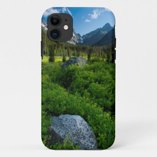 メドウとMt.スチュアート Case-Mate iPhoneケース (裏面)