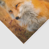 メドウキツネティッシュペーパー 薄葉紙 (詳細)