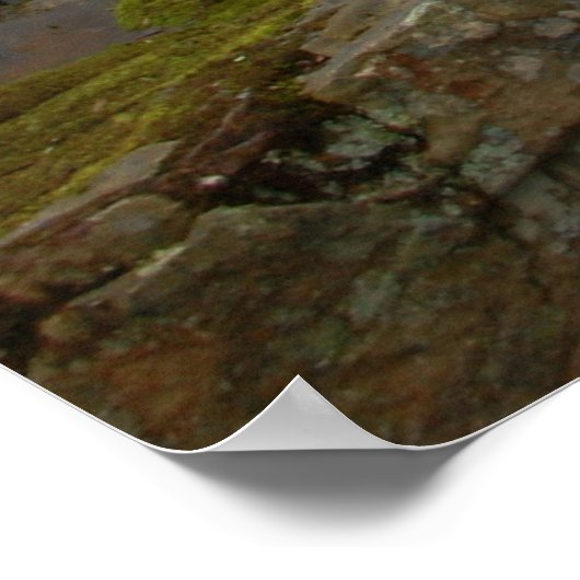 メドウクリーク秋 ポスター (角)