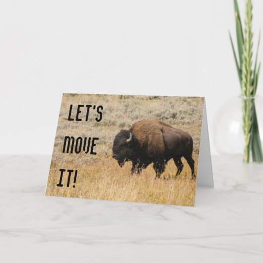 メドウグラス写真のアメリカバイソンの放牧 カード (正面)