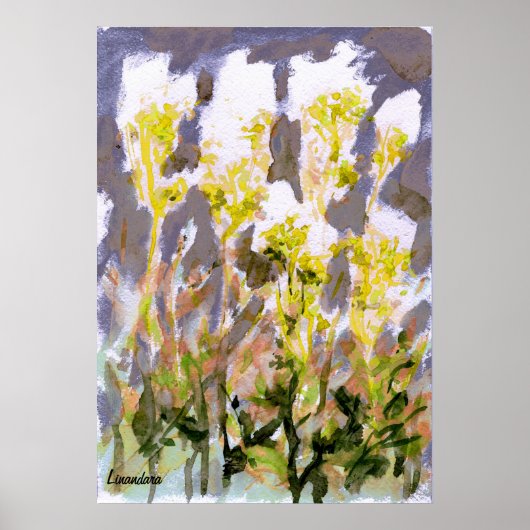 メドウスウィート ポスター (正面)