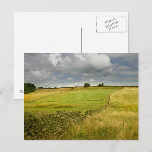 メドウズと壁 ポストカード (正面/裏面)