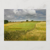 メドウズと壁 ポストカード (正面)