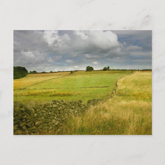 メドウズと壁 ポストカード (正面)