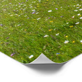 メドウズ島 ポスター (角)