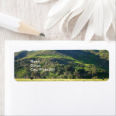 メドウバレー ラベル (インサイチュ)