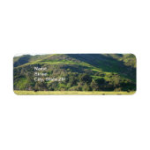 メドウバレー ラベル (正面)