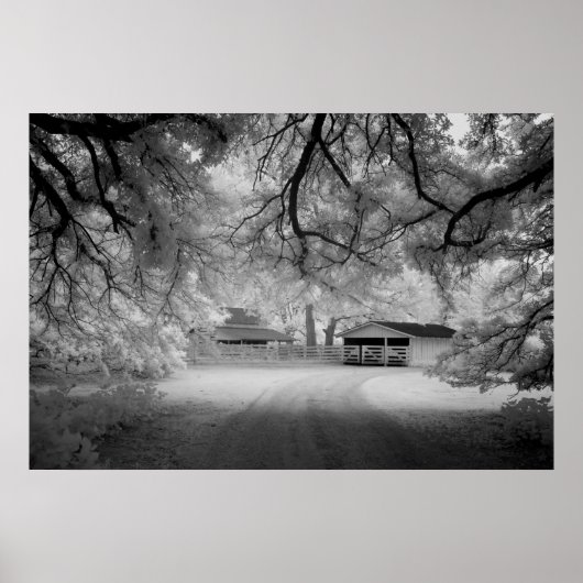 メドウバンクファーム ポスター (正面)